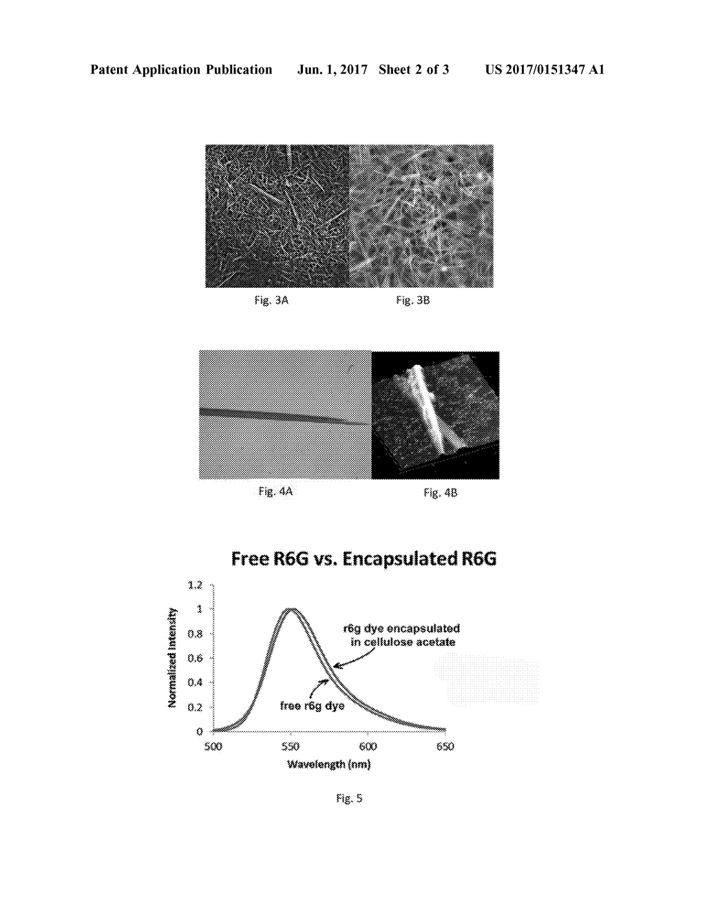 FUNCTIONALIZED NANOPARTICLES WITH ENCAPSULATED CARGO AND METHOD OF THEIR     SELF-ASSEMBLY - diagram, schematic, and image 03