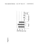 PARTICLES COMPRISING PROTAMINE AND RNA IN COMBINATION WITH ENDOSOME     DESTABILIZING AGENTS diagram and image