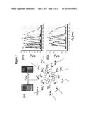 PHOSPHORESCENT NANOPARTICLES AND THEIR USES IN BIOSENSING AND BIOIMAGING diagram and image