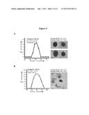 PHOSPHORESCENT NANOPARTICLES AND THEIR USES IN BIOSENSING AND BIOIMAGING diagram and image