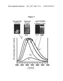 PHOSPHORESCENT NANOPARTICLES AND THEIR USES IN BIOSENSING AND BIOIMAGING diagram and image