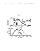 PHOSPHORESCENT NANOPARTICLES AND THEIR USES IN BIOSENSING AND BIOIMAGING diagram and image