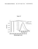 PHOSPHORESCENT NANOPARTICLES AND THEIR USES IN BIOSENSING AND BIOIMAGING diagram and image