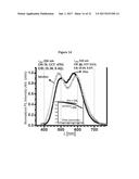 PHOSPHORESCENT NANOPARTICLES AND THEIR USES IN BIOSENSING AND BIOIMAGING diagram and image