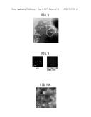 PRODUCTION METHOD OF OXYGEN STORAGE MATERIAL, AND OXYGEN STORAGE MATERIAL diagram and image