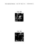 PRODUCTION METHOD OF OXYGEN STORAGE MATERIAL, AND OXYGEN STORAGE MATERIAL diagram and image