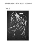 COMPOSITIONS AND METHODS FOR CONTROLLING NEMATODES diagram and image