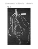 COMPOSITIONS AND METHODS FOR CONTROLLING NEMATODES diagram and image