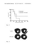 ANTI-APOPTOTIC FUSION PROTEINS FOR REDUCING MYOCARDIAL INFARCTION SIZE diagram and image