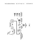 METHODS OF REPROGRAMMING ANIMAL SOMATIC CELLS diagram and image