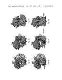 POLYMERASES FOR NUCLEOTIDE ANALOGUE INCORPORATION diagram and image