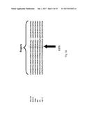 POLYMERASES FOR NUCLEOTIDE ANALOGUE INCORPORATION diagram and image