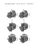 POLYMERASES FOR NUCLEOTIDE ANALOGUE INCORPORATION diagram and image