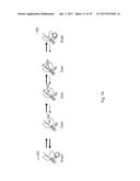 POLYMERASES FOR NUCLEOTIDE ANALOGUE INCORPORATION diagram and image