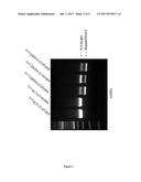 TREATMENT OF AMYOTROPHIC LATERAL SCLEROSIS diagram and image