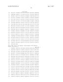 METHOD OF REDUCING ACETYLATION IN PLANTS TO IMPROVE BIOFUEL PRODUCTION diagram and image