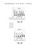 ENGINEERING OF HUMANIZED CAR T-CELL AND PLATELETS BY GENETIC     COMPLEMENTATION diagram and image