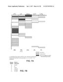 ENGINEERING OF HUMANIZED CAR T-CELL AND PLATELETS BY GENETIC     COMPLEMENTATION diagram and image