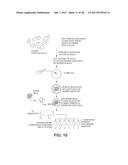 ENGINEERING OF HUMANIZED CAR T-CELL AND PLATELETS BY GENETIC     COMPLEMENTATION diagram and image