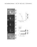 ENGINEERING OF HUMANIZED CAR T-CELL AND PLATELETS BY GENETIC     COMPLEMENTATION diagram and image