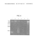 COMPOSITIONS AND METHODS FOR OBTAINING NUCLEIC ACIDS FROM SPUTUM diagram and image