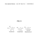 COMPOSITIONS AND METHODS FOR OBTAINING NUCLEIC ACIDS FROM SPUTUM diagram and image