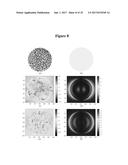 NANOPOROUS GOLD AND SILVER NANOPARTICLES AND SUBSTRATES FOR MOLECULAR AND     BIOMOLECULAR SENSING diagram and image