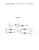 NANOPOROUS GOLD AND SILVER NANOPARTICLES AND SUBSTRATES FOR MOLECULAR AND     BIOMOLECULAR SENSING diagram and image