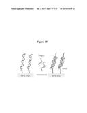 NANOPOROUS GOLD AND SILVER NANOPARTICLES AND SUBSTRATES FOR MOLECULAR AND     BIOMOLECULAR SENSING diagram and image