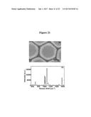 NANOPOROUS GOLD AND SILVER NANOPARTICLES AND SUBSTRATES FOR MOLECULAR AND     BIOMOLECULAR SENSING diagram and image