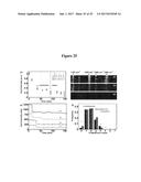 NANOPOROUS GOLD AND SILVER NANOPARTICLES AND SUBSTRATES FOR MOLECULAR AND     BIOMOLECULAR SENSING diagram and image