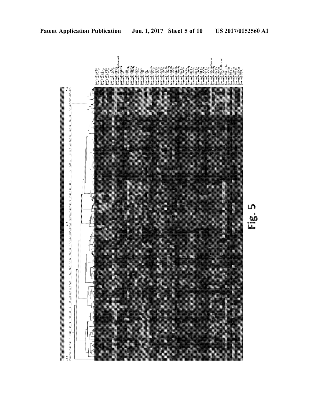 Methods for Diagnosing Risk of Renal Allograft Fibrosis and Rejection - diagram, schematic, and image 06