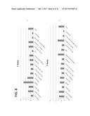 Methods for Diagnosing Risk of Renal Allograft Fibrosis and Rejection diagram and image