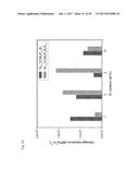 BULK NICKEL-BASED CHROMIUM AND PHOSPHOROUS BEARING METALLIC GLASSES diagram and image