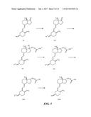 ASSAYS FOR VITAMIN D EPIMERS diagram and image