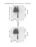 METHODS OF MEASURING ADAMTS 13 ACTIVITY diagram and image