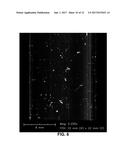 HIGH-DEFINITION PARTICLE DETECTION DURING CENTRIFUGATION diagram and image