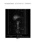 HIGH-DEFINITION PARTICLE DETECTION DURING CENTRIFUGATION diagram and image