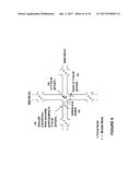 MOBILE DEVICE POSITIONING IN DYNAMIC GROUPINGS OF COMMUNICATION DEVICES diagram and image