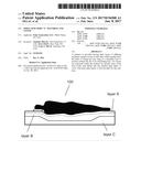 SIMULATED ZERO  G  MATTRESS AND COVER diagram and image