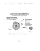 MULTIVALENT DELIVERY OF IMMUNE MODULATORS BY LIPOSOMAL SPHERICAL NUCLEIC     ACIDS FOR PROPHYLACTIC OR THERAPEUTIC APPLICATIONS diagram and image