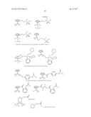 PREVENTION OF GASTRIC ULCER BY CARBON MONOXIDE diagram and image