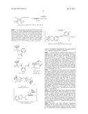 PREVENTION OF GASTRIC ULCER BY CARBON MONOXIDE diagram and image