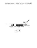 Smart CAR Devices and DE CAR Polypeptides for Treating Disease and Methods     for Enhancing Immune Responses diagram and image