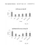 Nutritional Composition for Improving Muscle Function and Daily Activity diagram and image