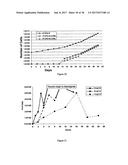 PROGENITOR CELLS FROM WHARTON S JELLY OF HUMAN UMBILICAL CORD diagram and image