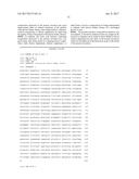 Novel lactic acid bacteria and use thereof diagram and image