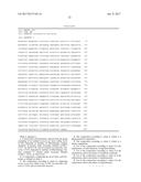 Novel lactic acid bacteria and use thereof diagram and image