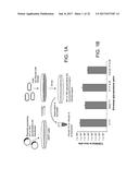 REPLICATION-COMPETENT VESICULAR STOMATITIS VIRUSES diagram and image