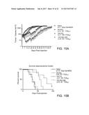 REPLICATION-COMPETENT VESICULAR STOMATITIS VIRUSES diagram and image